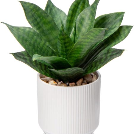 Artificial Agave and Snake Plant Potted Set
